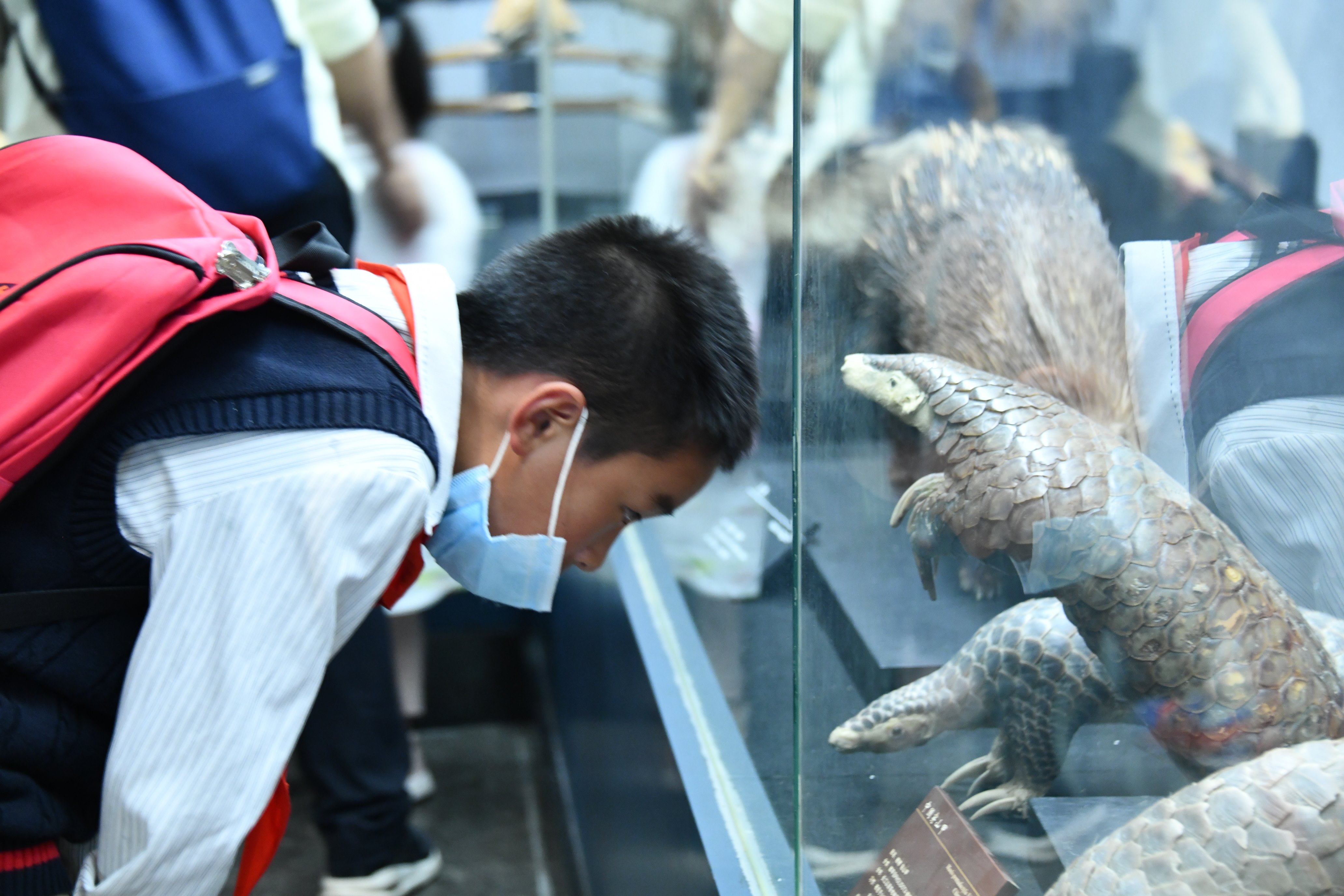 电子游戏app下载安装