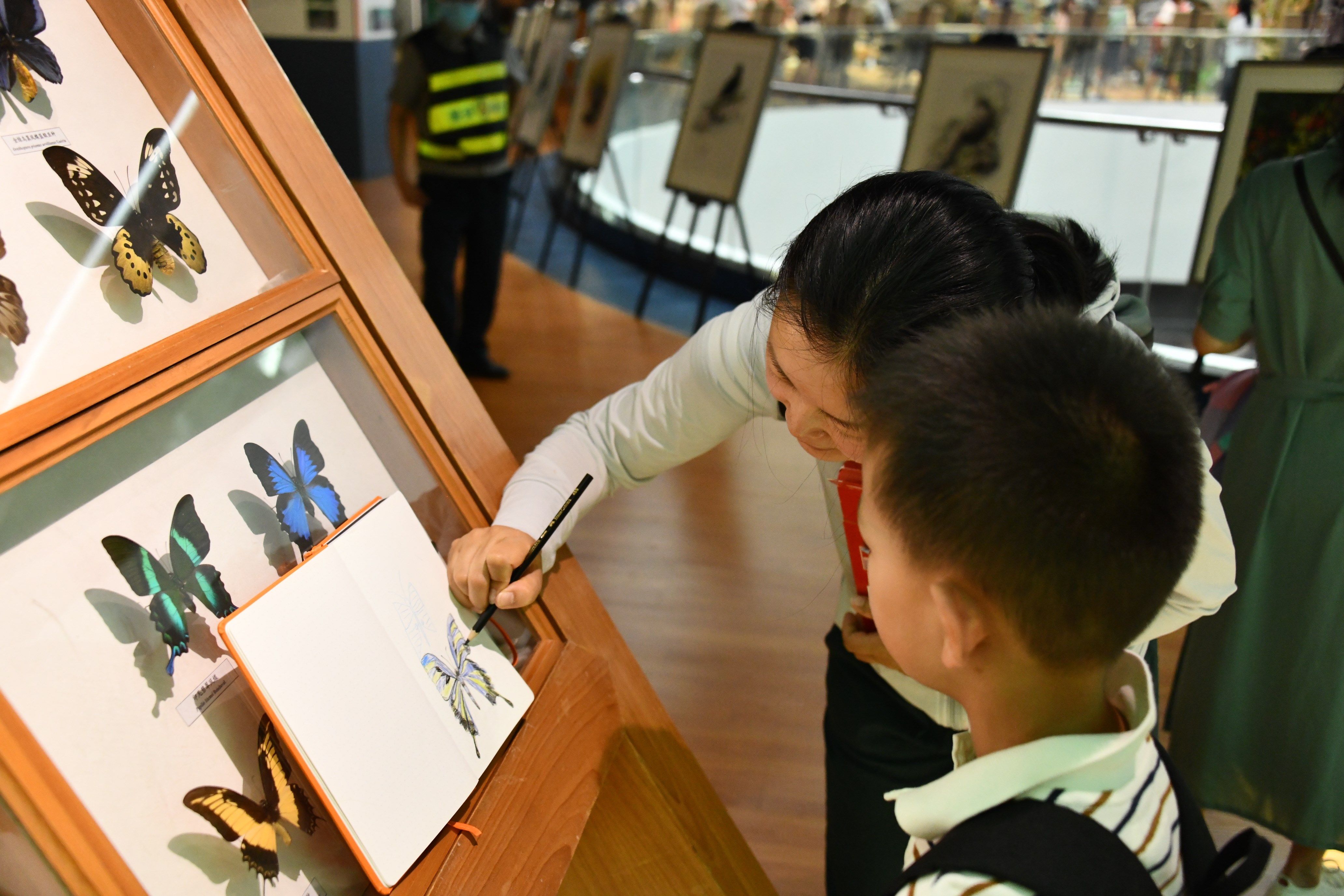 电子游戏app下载安装