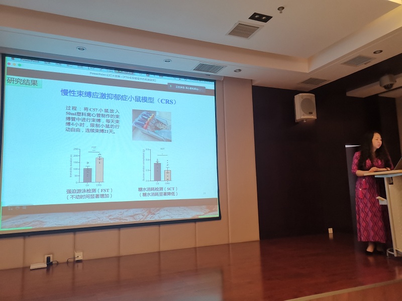 电子游戏app下载安装