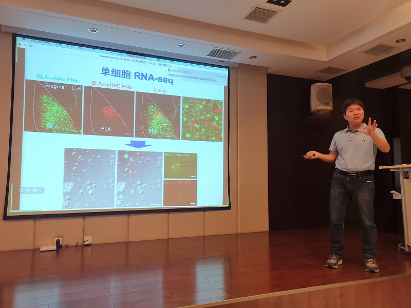 电子游戏app下载安装