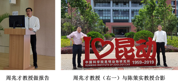 电子游戏app下载安装