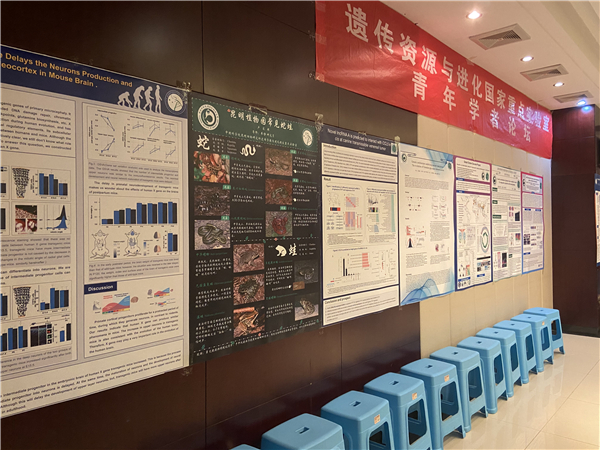 电子游戏app下载安装