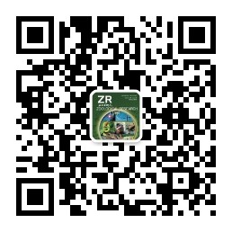 电子游戏app下载安装