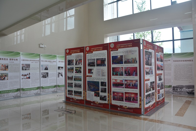 电子游戏app下载安装