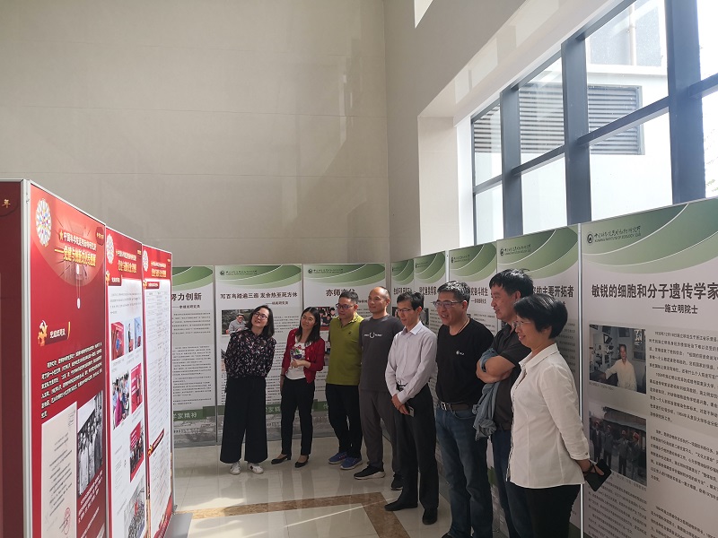 电子游戏app下载安装