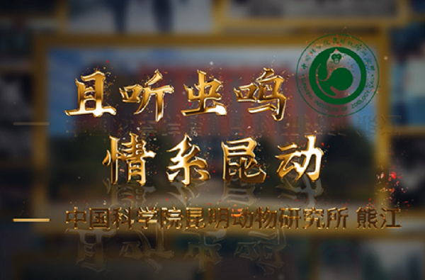 电子游戏app下载安装