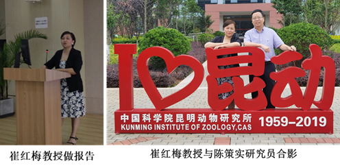 电子游戏app下载安装