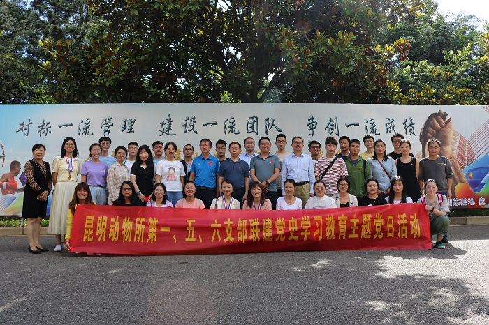 电子游戏app下载安装