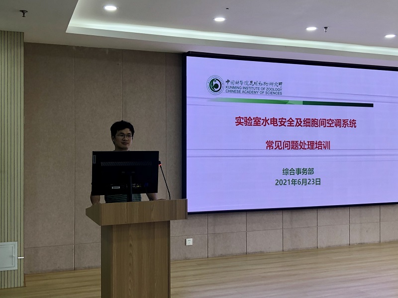 电子游戏app下载安装