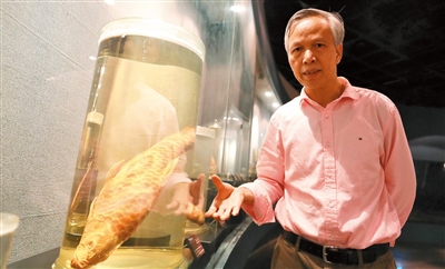 电子游戏app下载安装