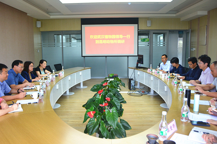 电子游戏app下载安装