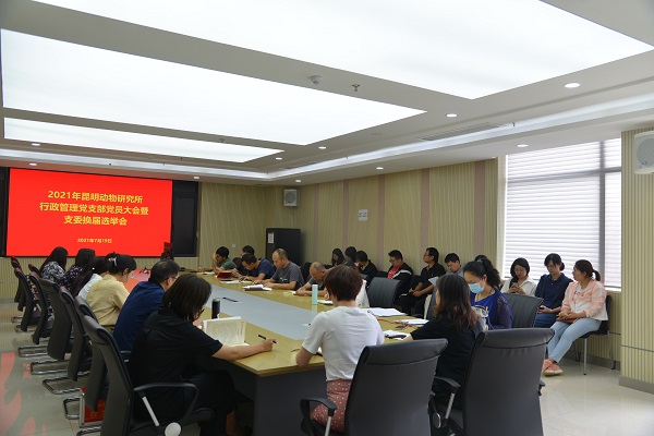 电子游戏app下载安装