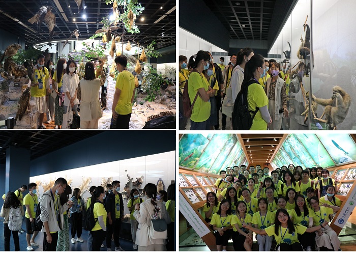 电子游戏app下载安装