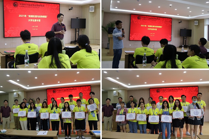 电子游戏app下载安装