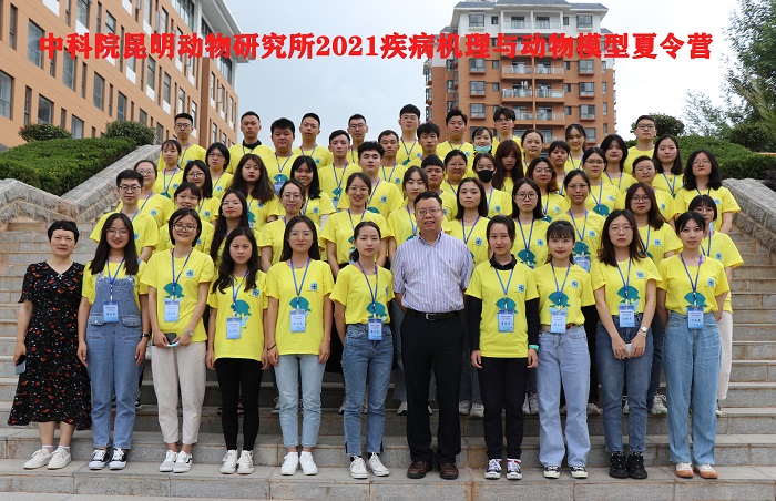 电子游戏app下载安装