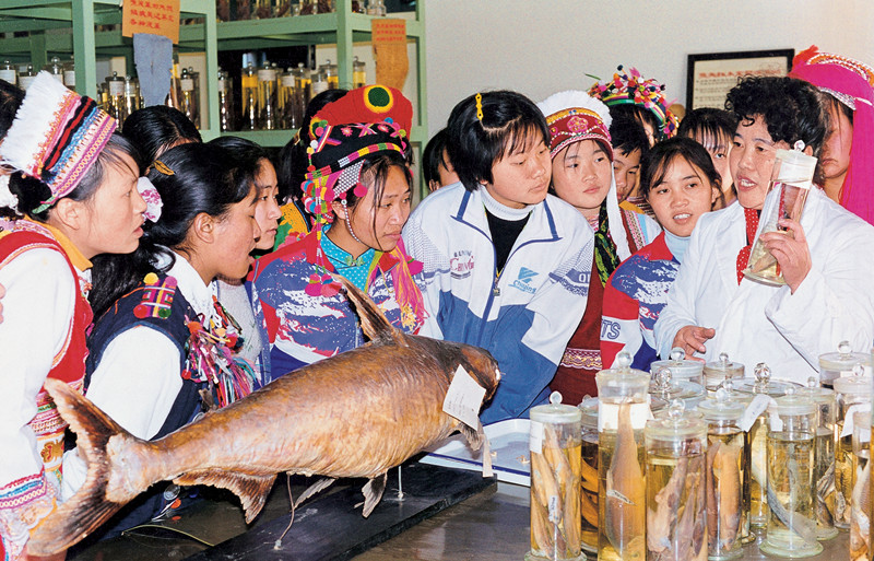 电子游戏app下载安装