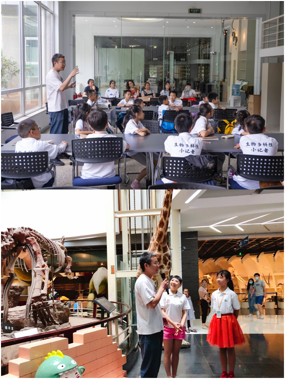 电子游戏app下载安装