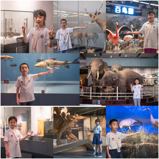 电子游戏app下载安装