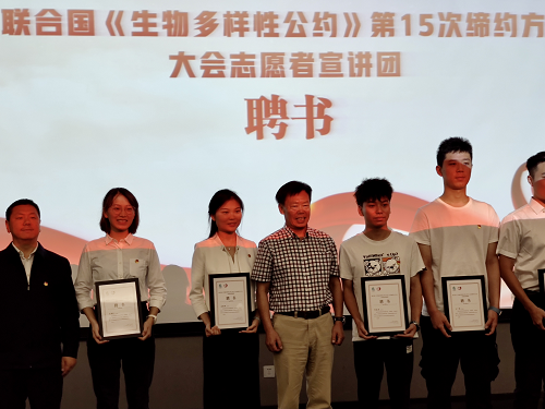 电子游戏app下载安装