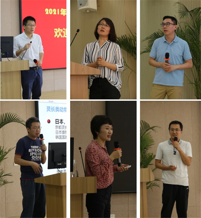 电子游戏app下载安装