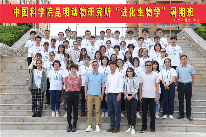 电子游戏app下载安装