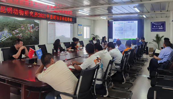 电子游戏app下载安装