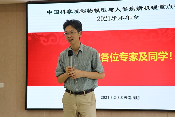 电子游戏app下载安装