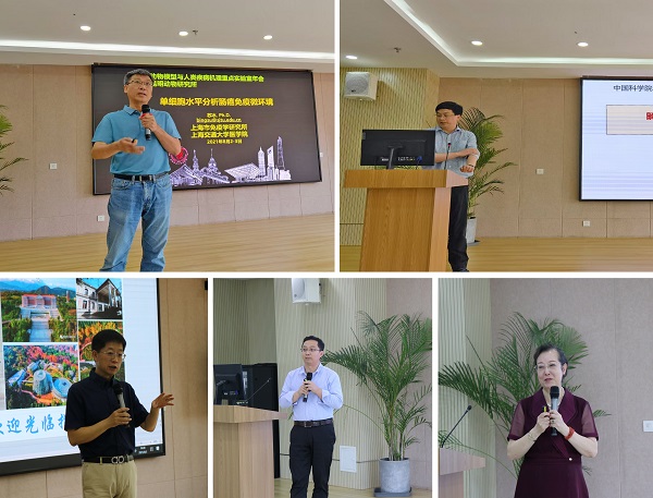 电子游戏app下载安装