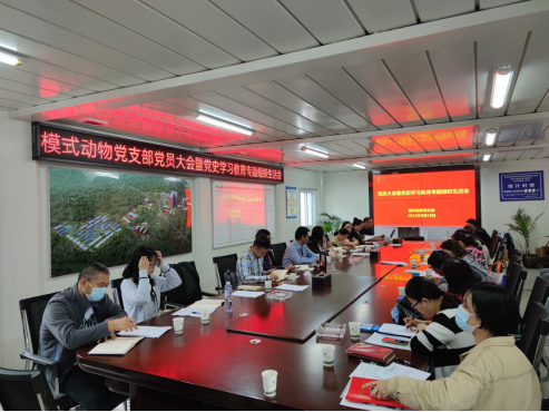 电子游戏app下载安装