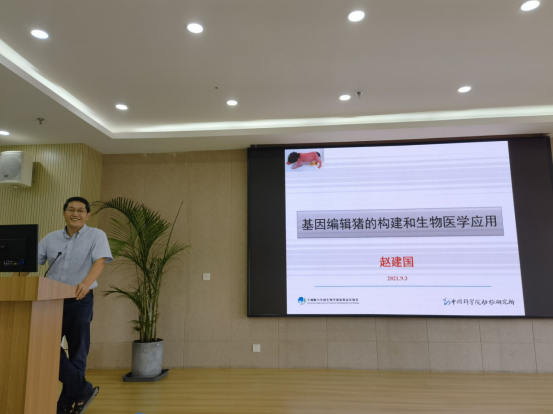 电子游戏app下载安装