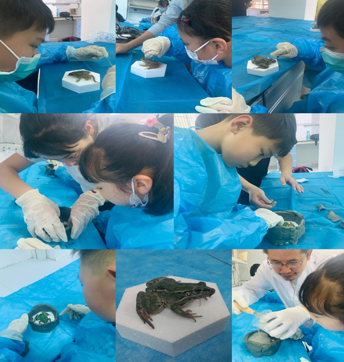 电子游戏app下载安装