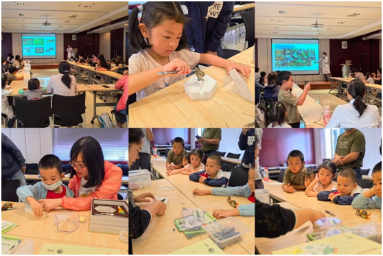 电子游戏app下载安装