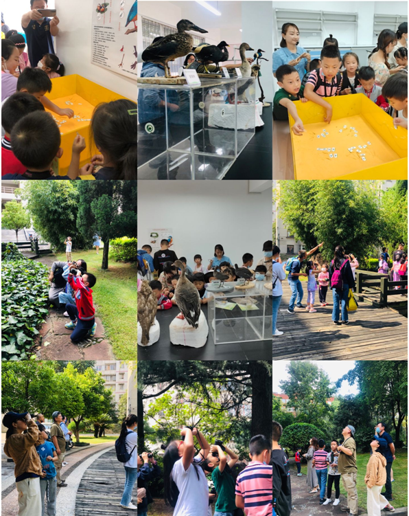 电子游戏app下载安装