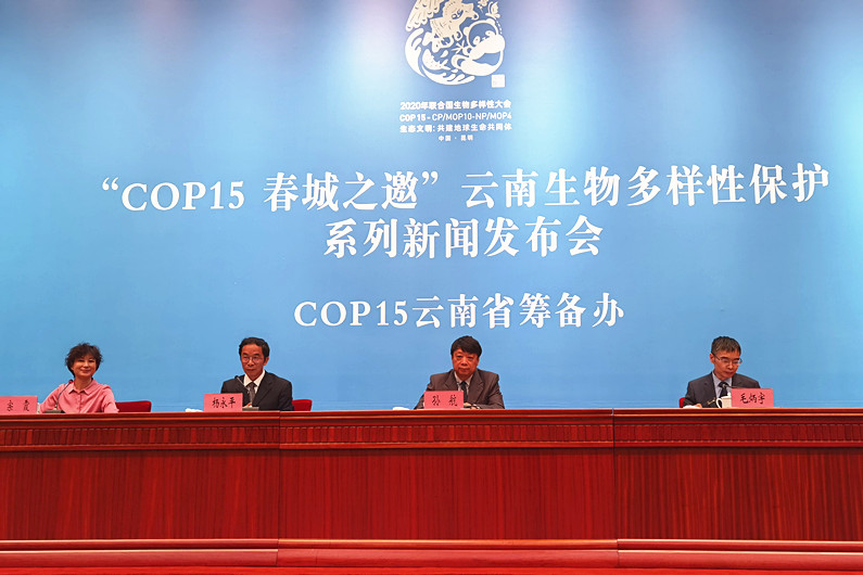 电子游戏app下载安装