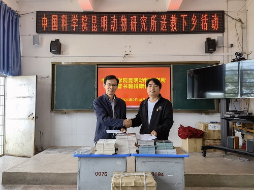 电子游戏app下载安装