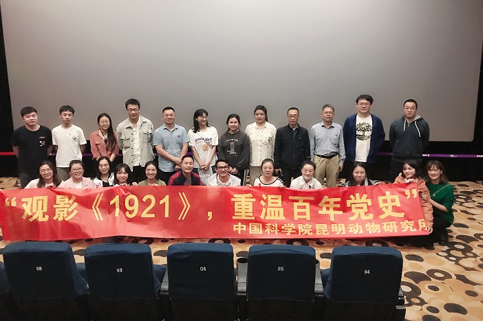 电子游戏app下载安装