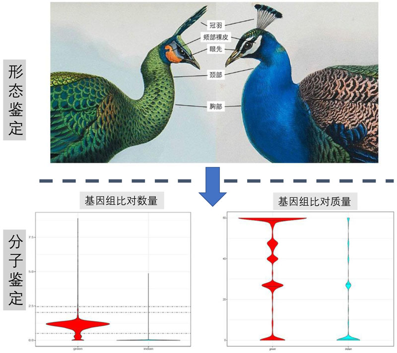 电子游戏app下载安装