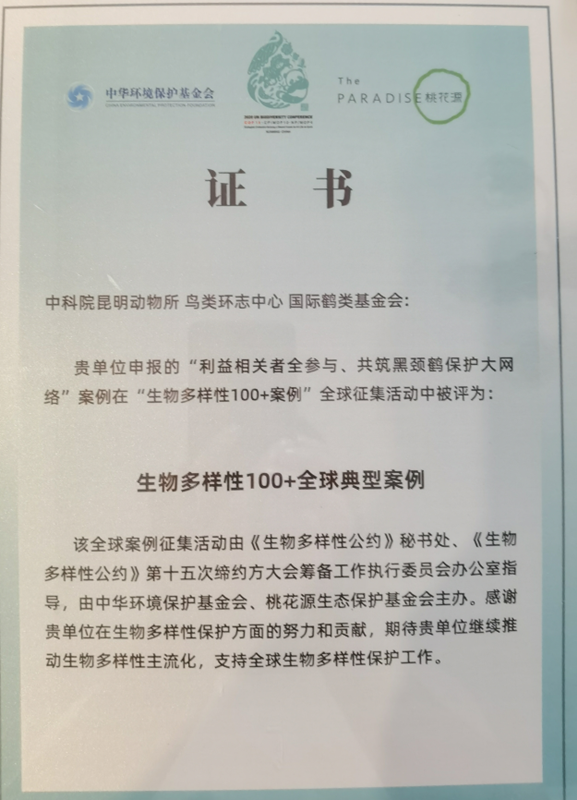 电子游戏app下载安装