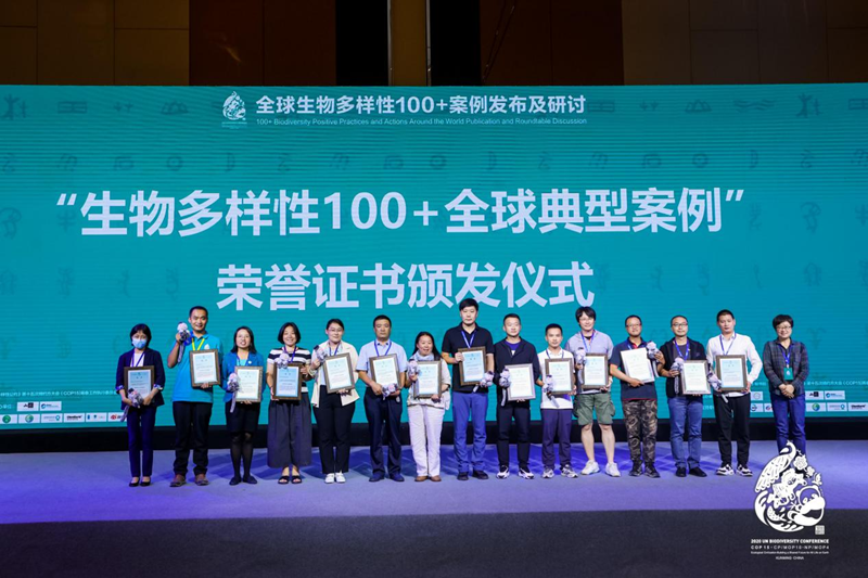 电子游戏app下载安装