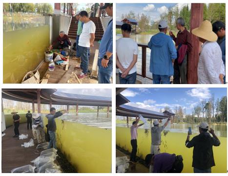 电子游戏app下载安装