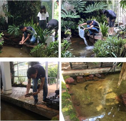 电子游戏app下载安装