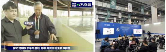 电子游戏app下载安装