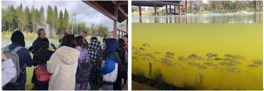 电子游戏app下载安装