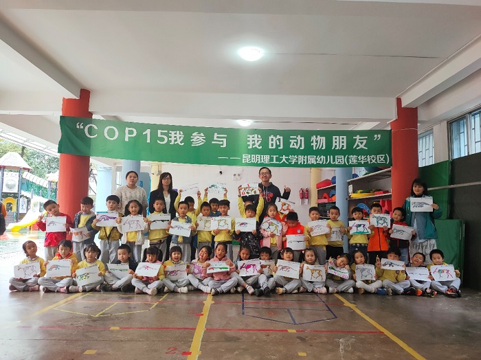 电子游戏app下载安装