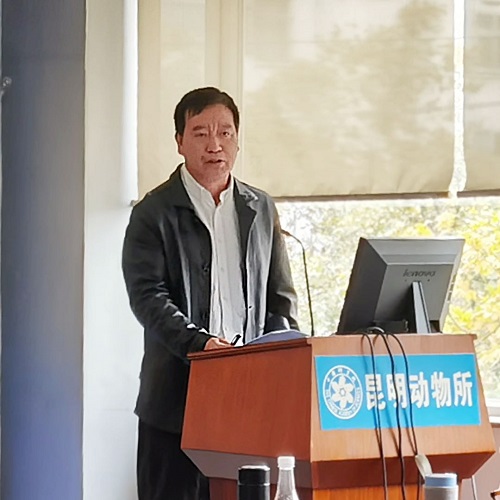 电子游戏app下载安装