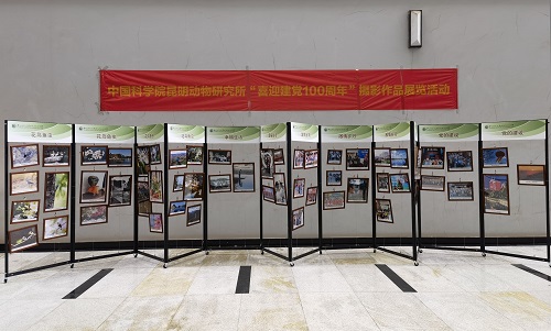 电子游戏app下载安装