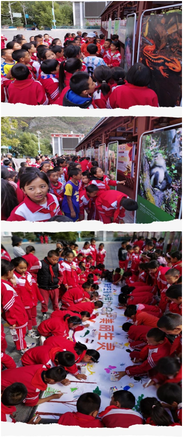 电子游戏app下载安装