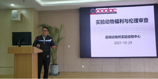 电子游戏app下载安装