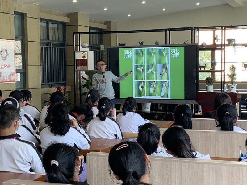 电子游戏app下载安装