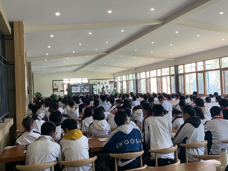 电子游戏app下载安装